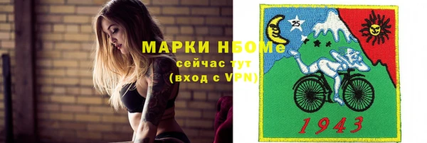 хмурый Карпинск