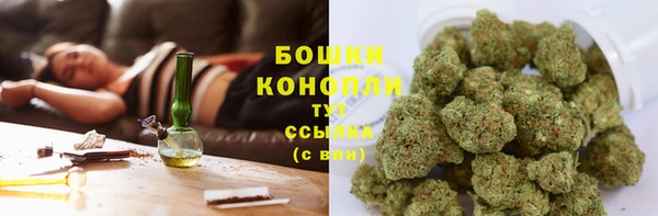 хмурый Карпинск