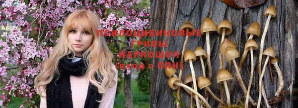 гашишное масло Касимов