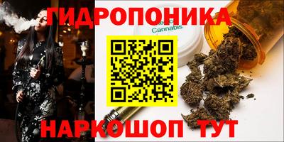 PSILOCYBIN Азнакаево