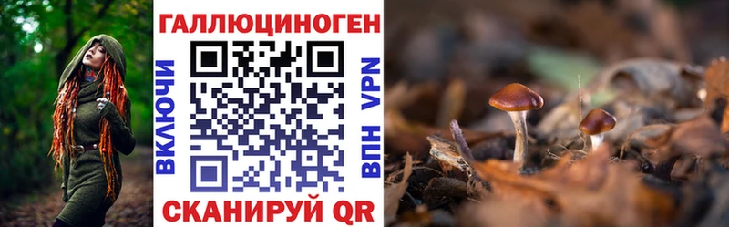Галлюциногенные грибы Cubensis  Касимов 