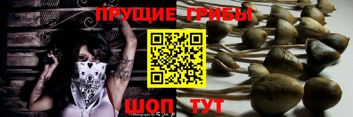 Псилоцибиновые грибы GOLDEN TEACHER Касимов