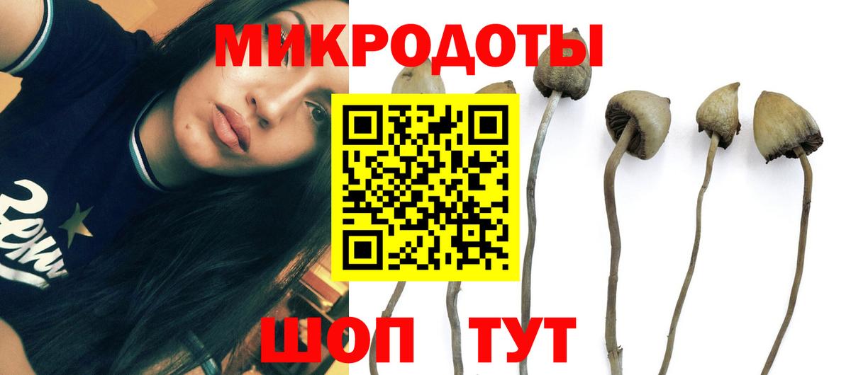 Псилоцибиновые грибы мицелий Касимов